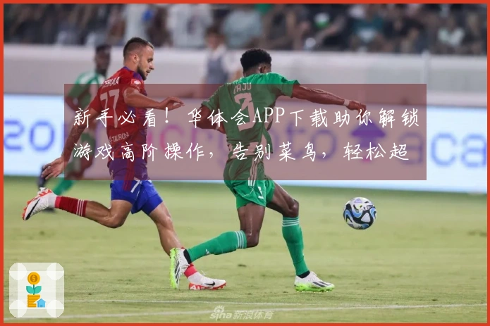 新手必看！华体会APP下载助你解锁游戏高阶操作，告别菜鸟，轻松超神！